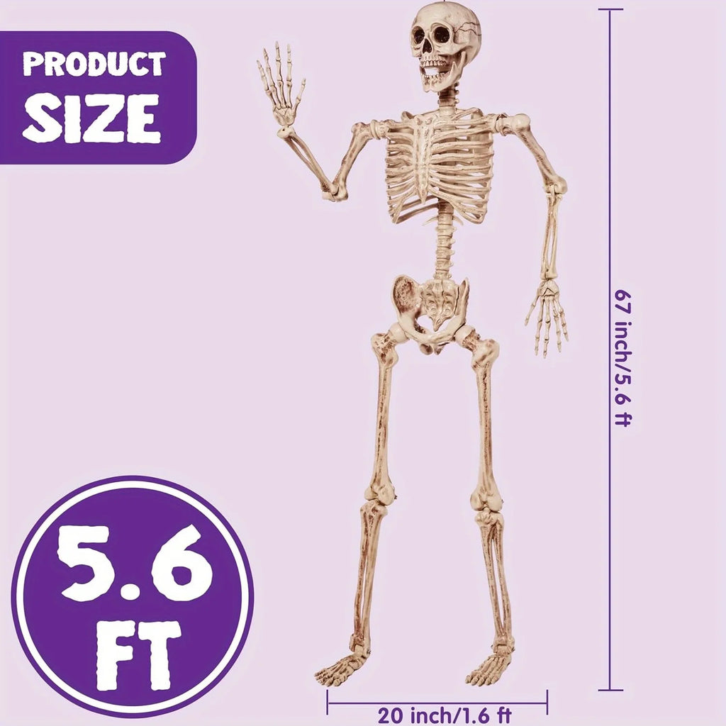 Grand Squelette Articulé Halloween — 170 cm