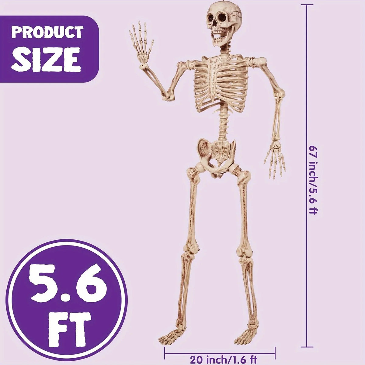 Grand Squelette Articulé Halloween — 170 cm