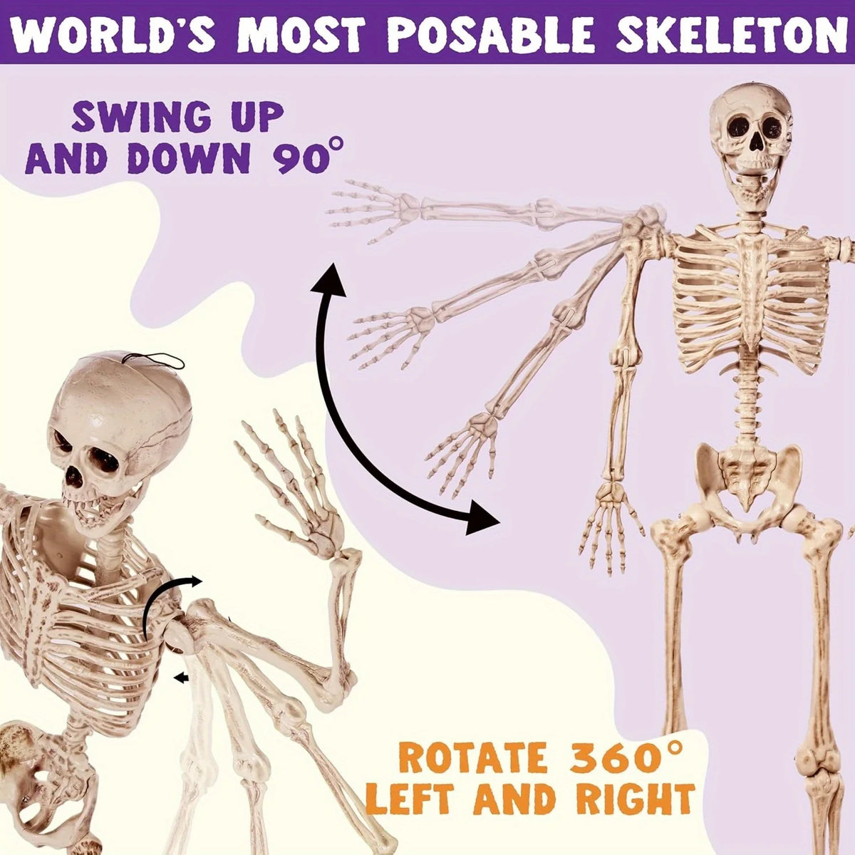 Grand Squelette Articulé Halloween — 170 cm