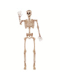Grand Squelette Articulé Halloween — 170 cm