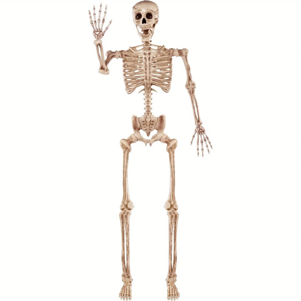 Grand Squelette Articulé Halloween — 170 cm